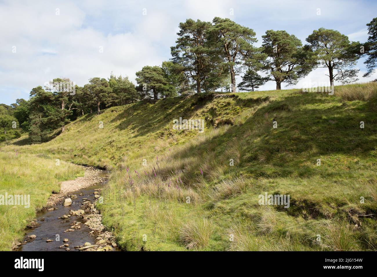 Trough of Bowland valley in the Forest of Bowland Area of Outstanding