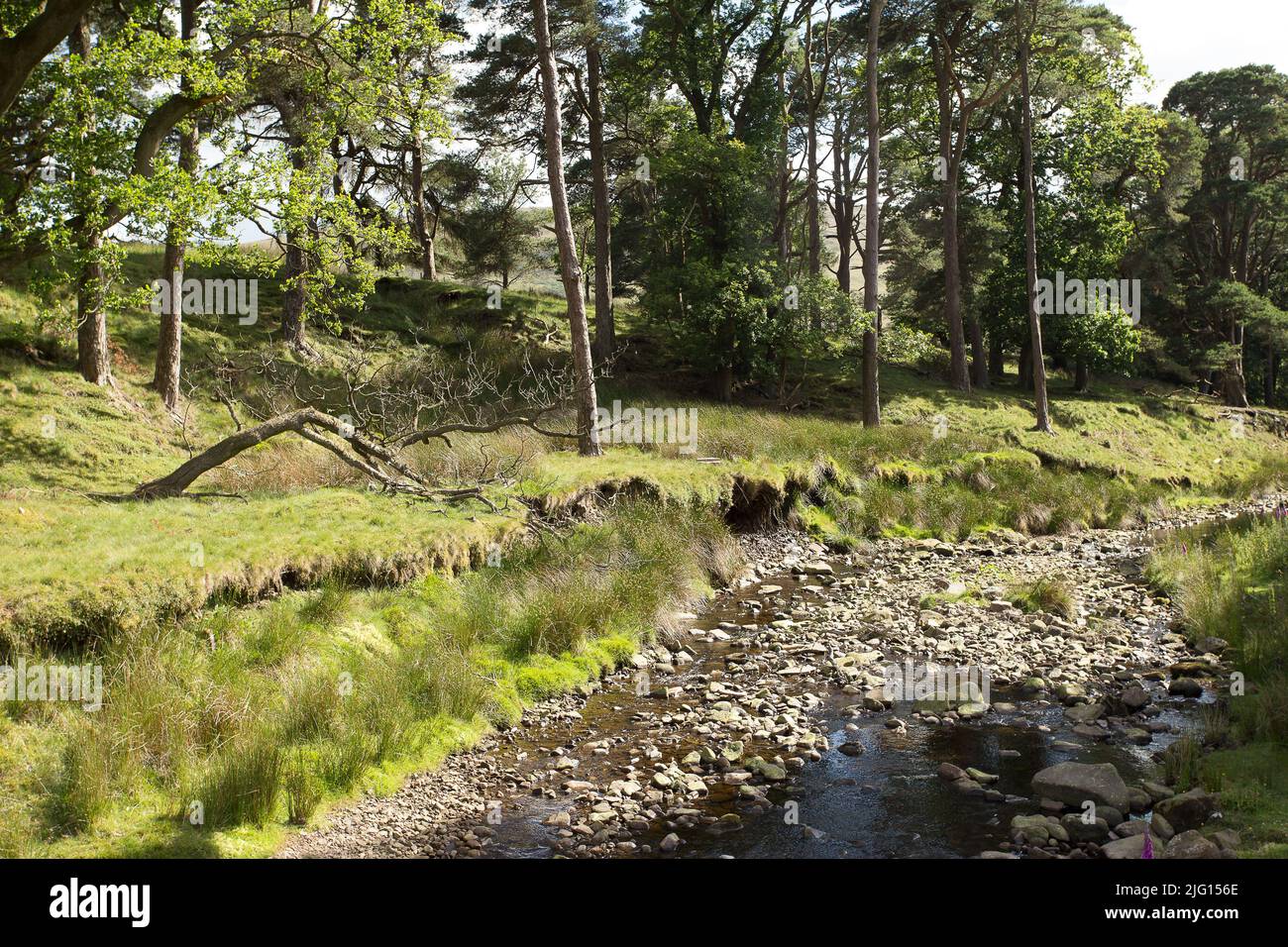 Trough of Bowland valley in the Forest of Bowland Area of Outstanding