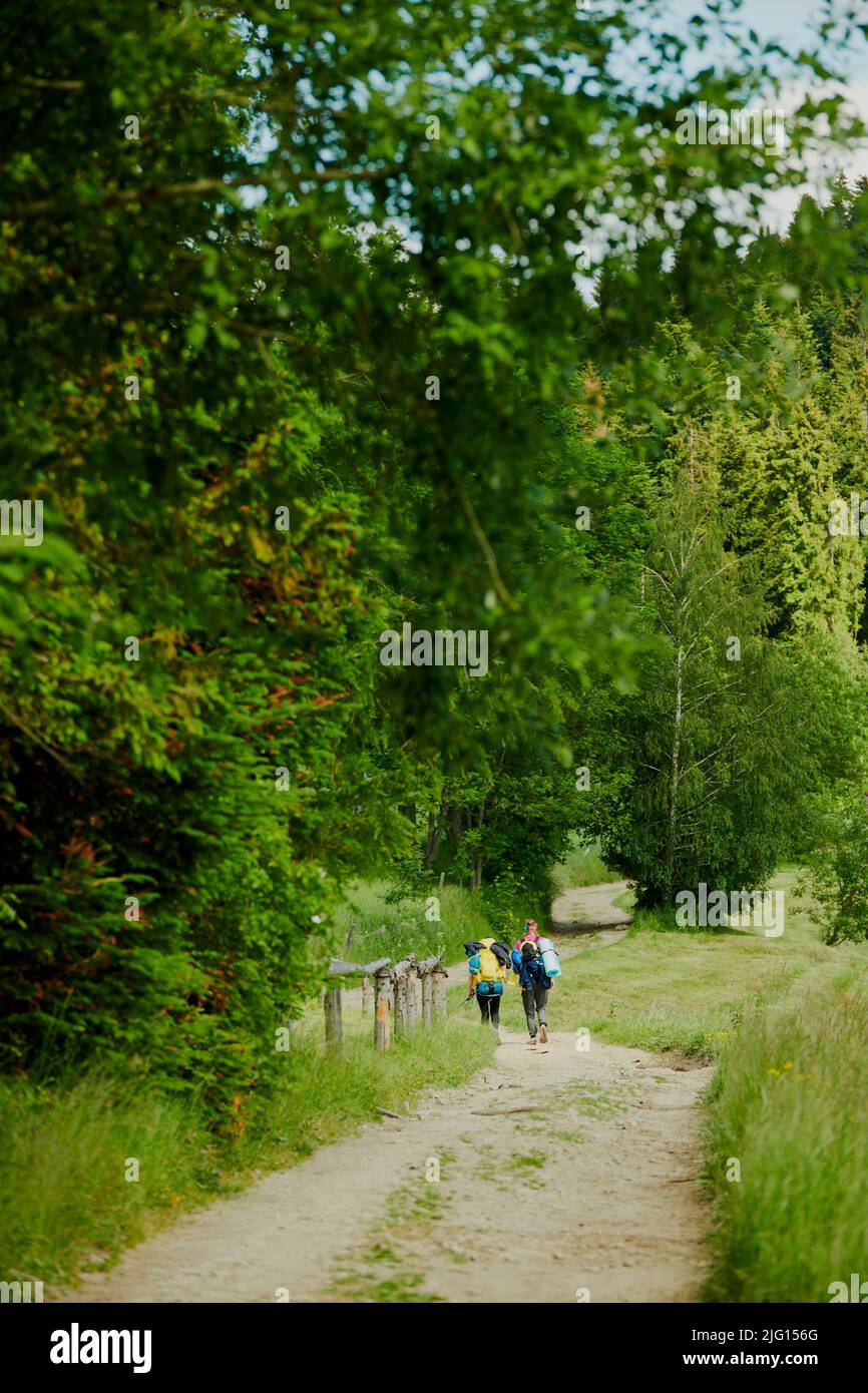 Hikers forest frame hi-res stock photography and images - Alamy