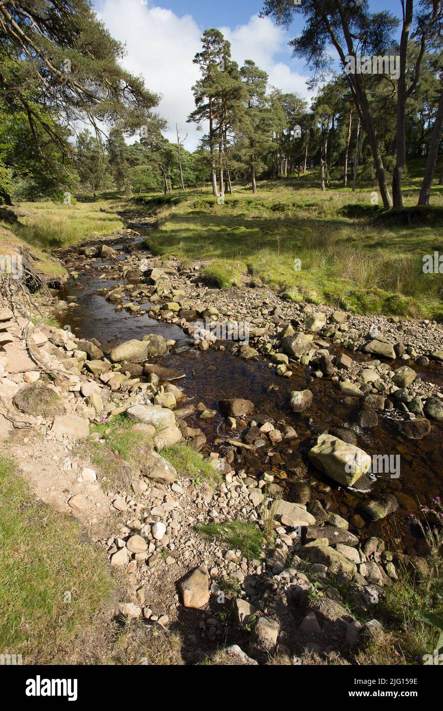 Trough of Bowland valley in the Forest of Bowland Area of Outstanding