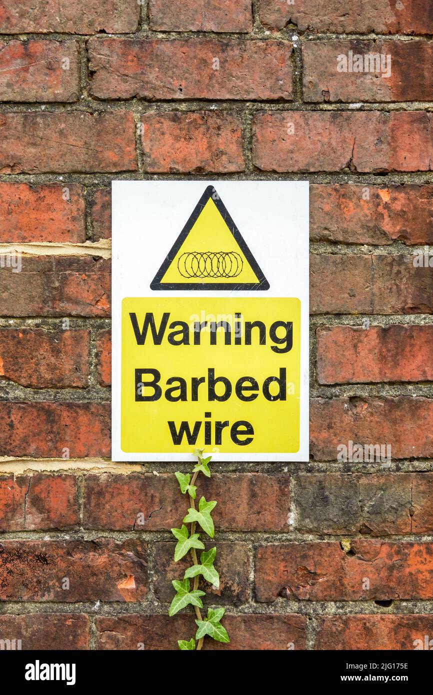 Warning barbed wire sign on red brick wall with a strand of ivy reaching up to it Stock Photo