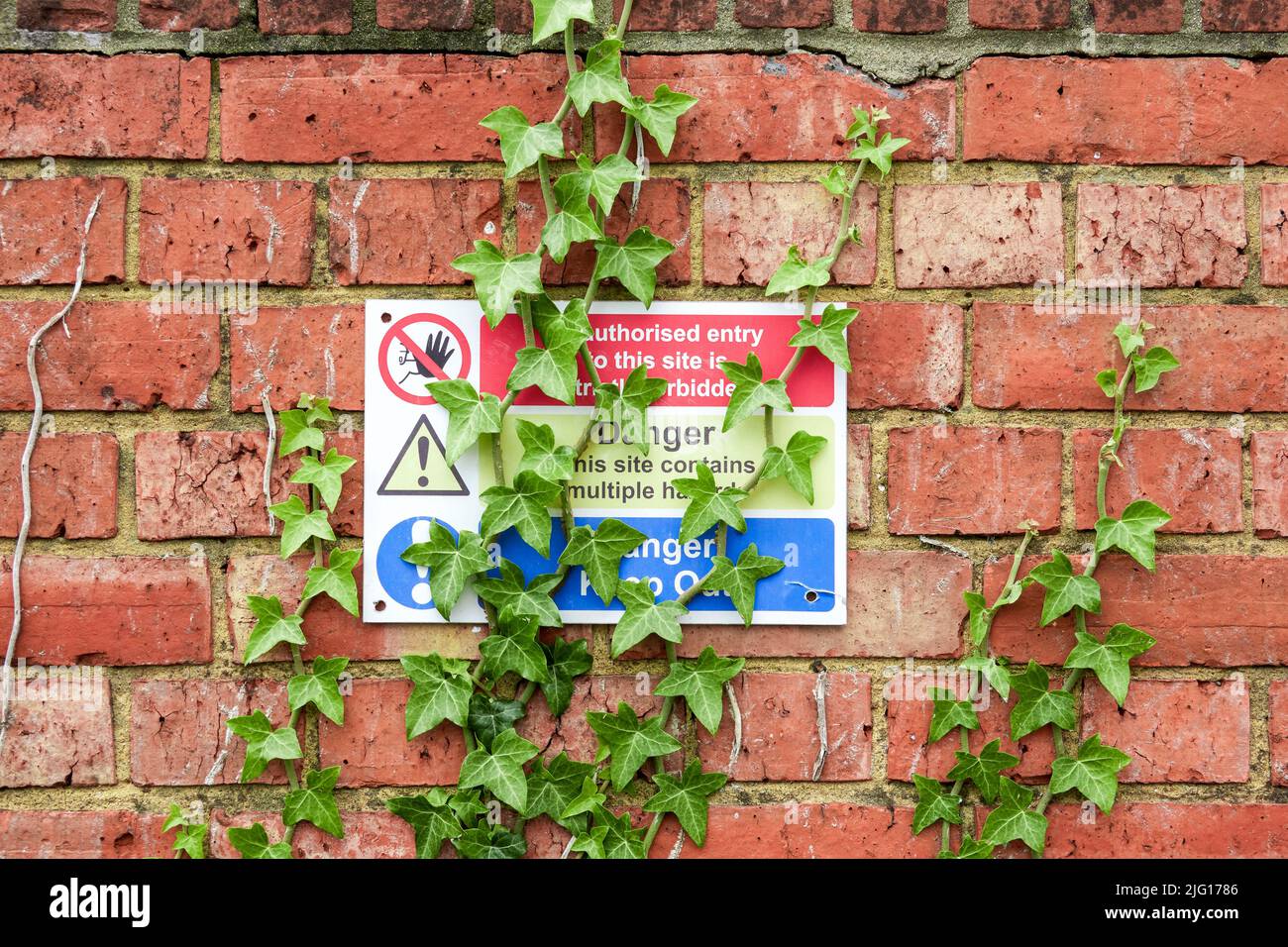 Danger keep out and hazard warning sign on red brick wall with green ivy growing over Stock Photo