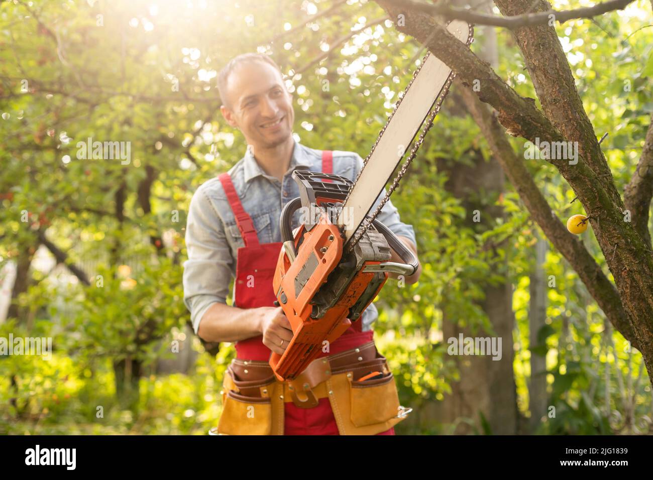 handsome young man gardener trimming hedgerow in a garden park outdoor ...
