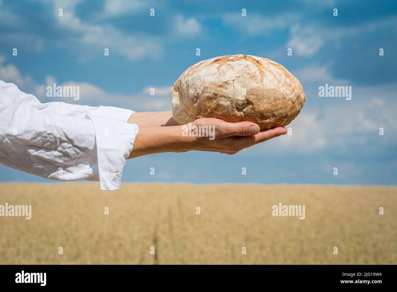 Female hands holding home baked bread loaf over a blue summer sky in a wheat field. World food security concept. Stock Photo