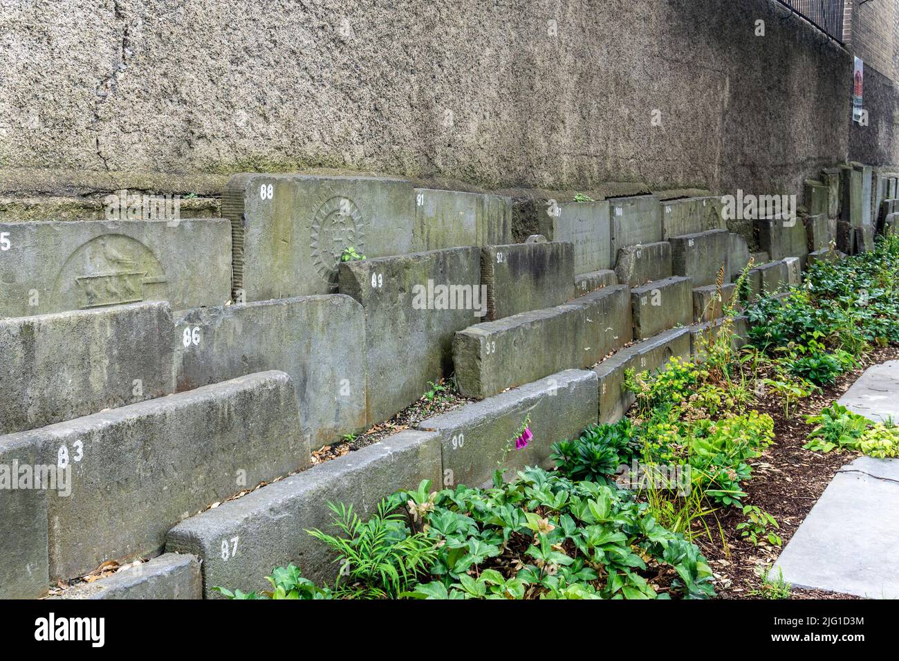 Old gravestones in Wolfe Tone Park in the centre of Dublin, Ireland. The park was once the graveyard of St Marys Church. Deconsecrated in 1966. Stock Photo