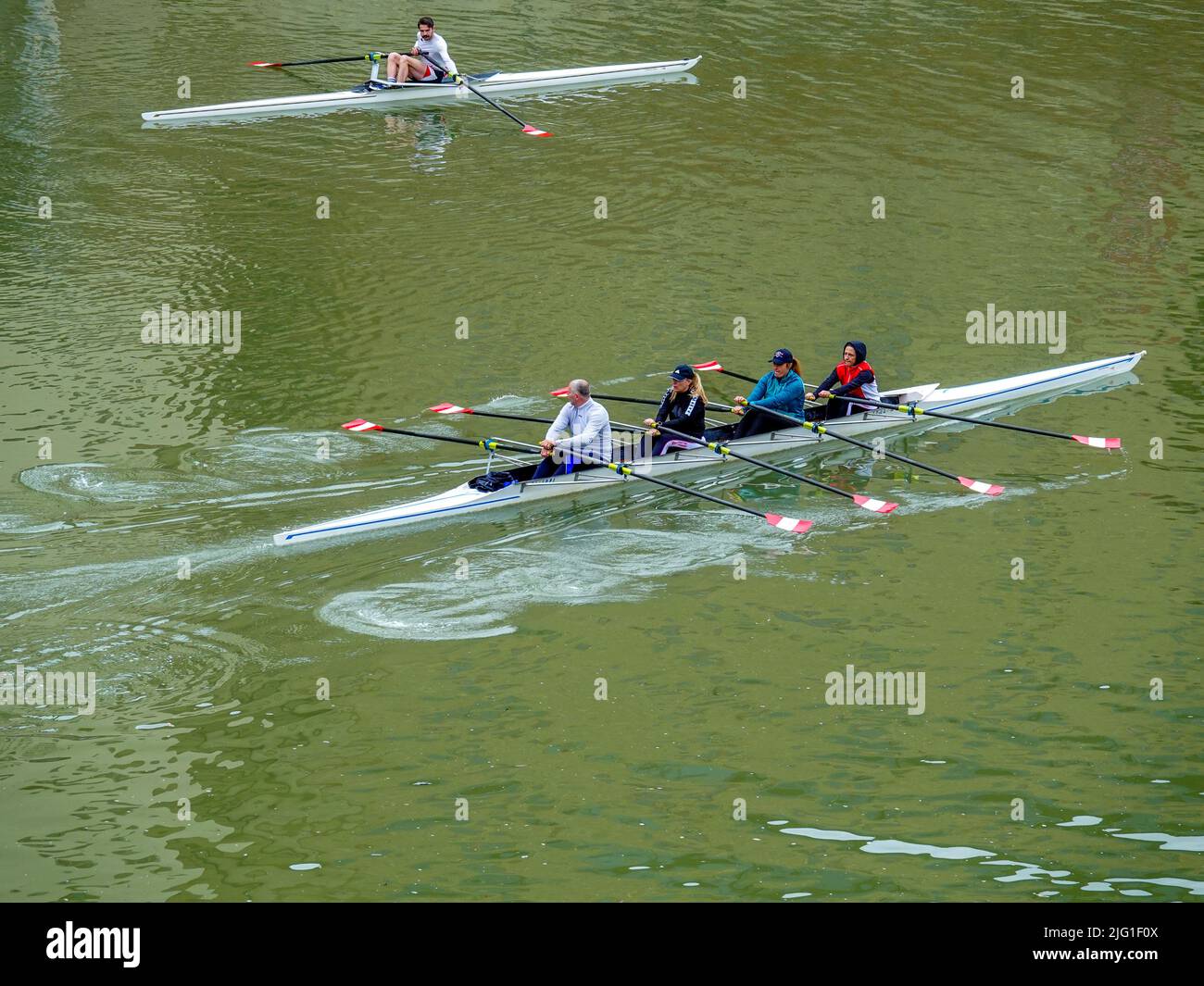 Rowing, training, on the Arno River, Florence, Italy. Stock Photo