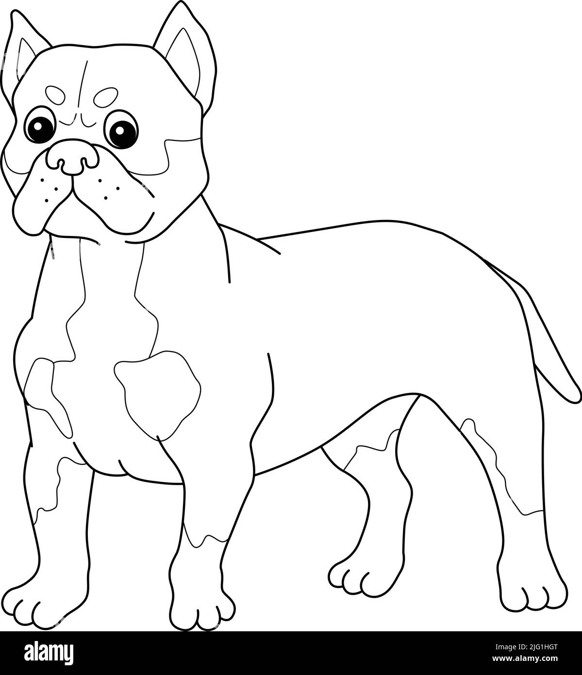 American Bully Dog Isolated Coloring Page Stock Vector Image & Art - Alamy