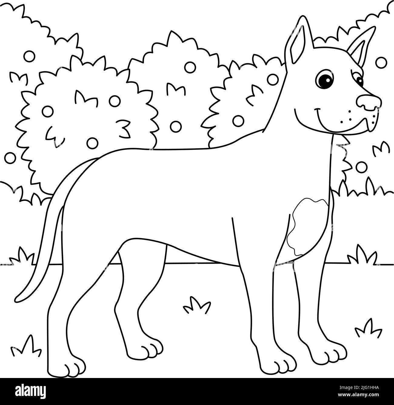 Great Dane Dog Coloring Page for Kids Stock Vector