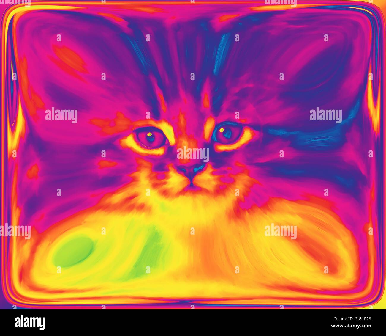 digital art cat pattern Stock Photo