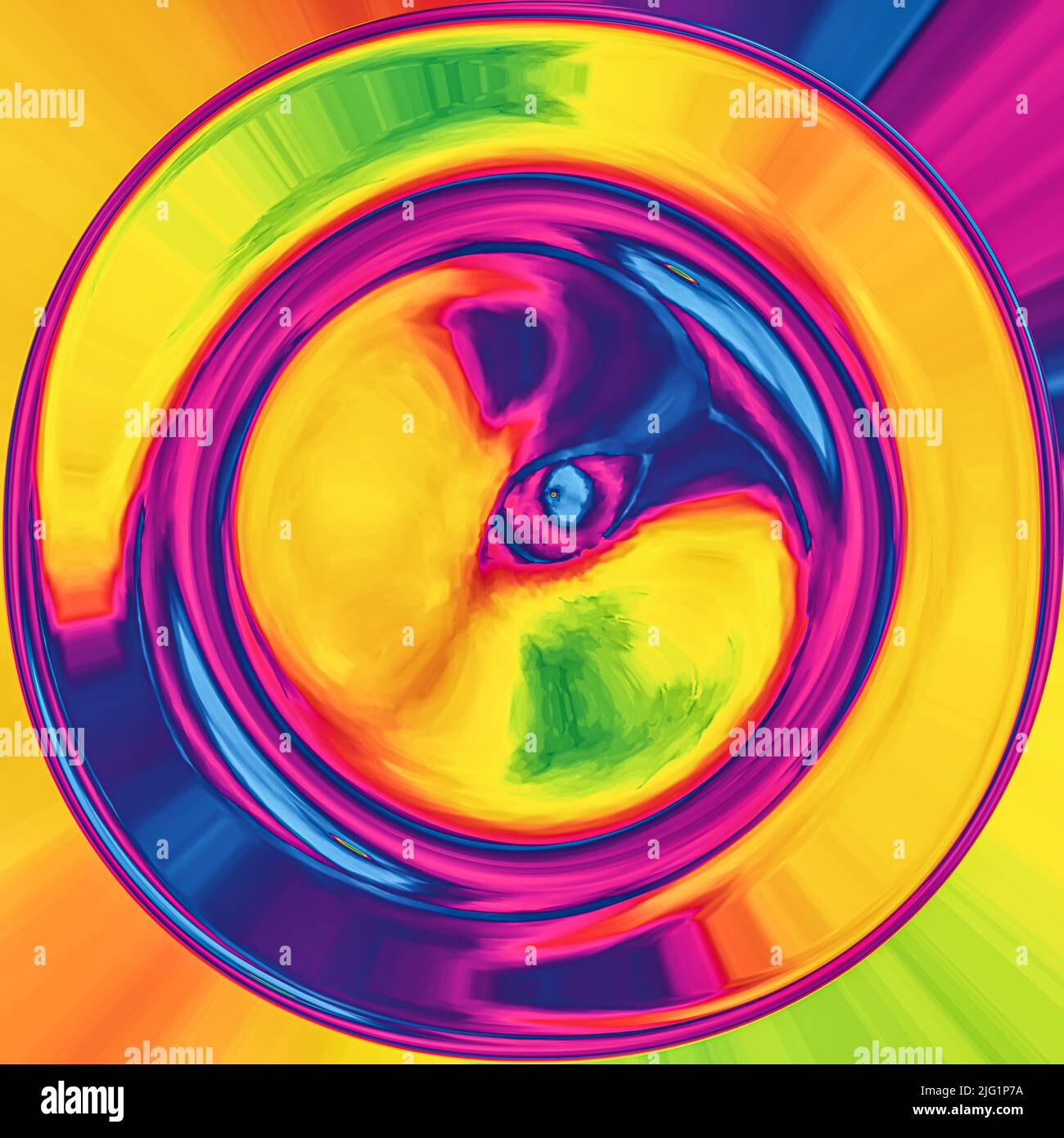 digital art of cats eye Stock Photo Alamy