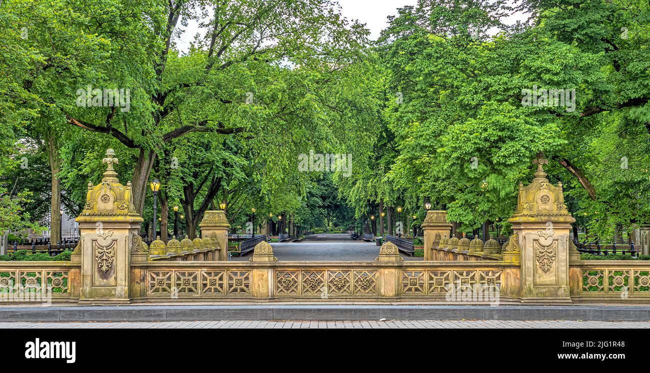 The Mall in Central Park, New York City Stock Photo Alamy
