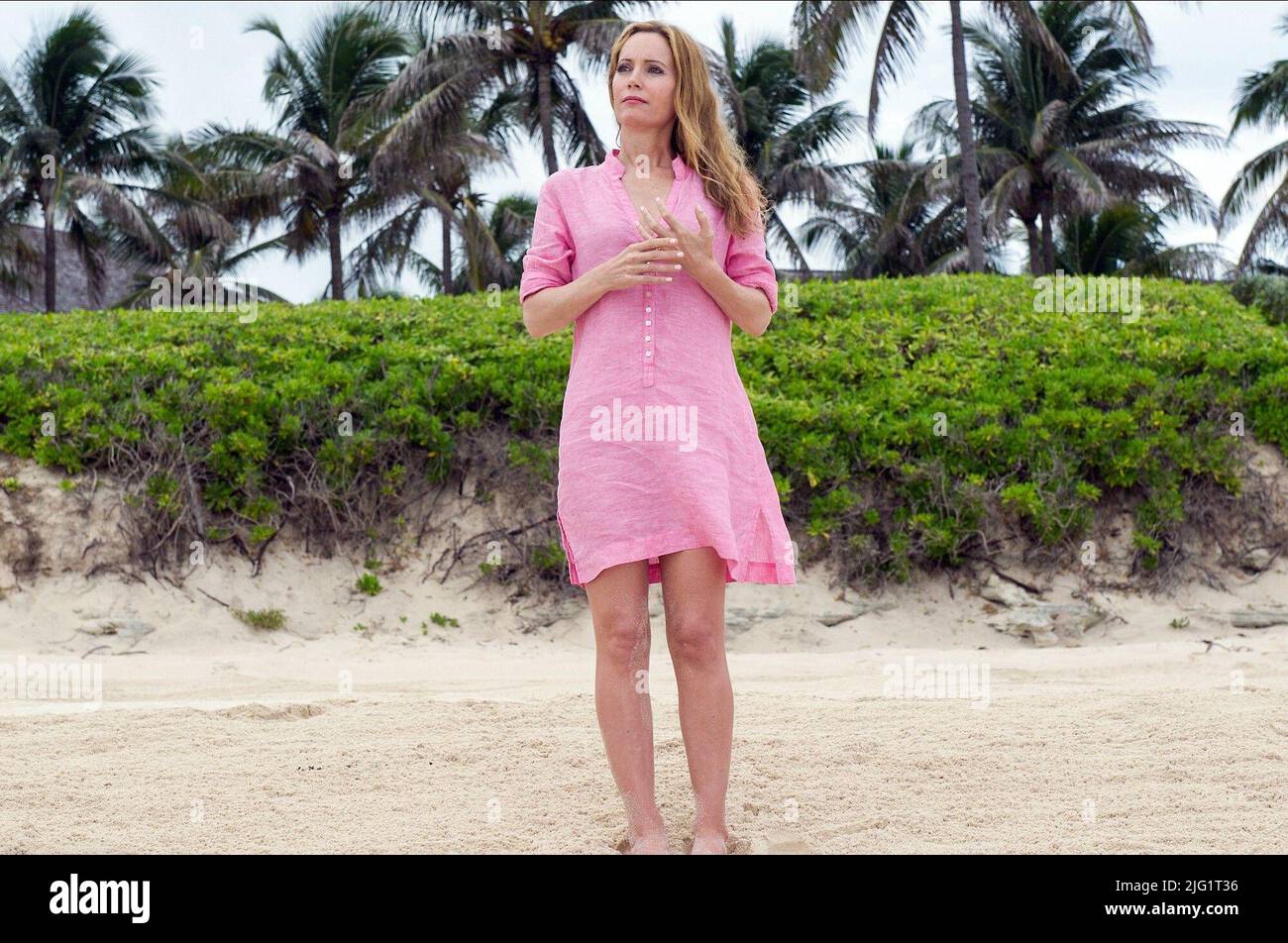 LESLIE MANN, THE OTHER WOMAN, 2014 Stock Photo - Alamy