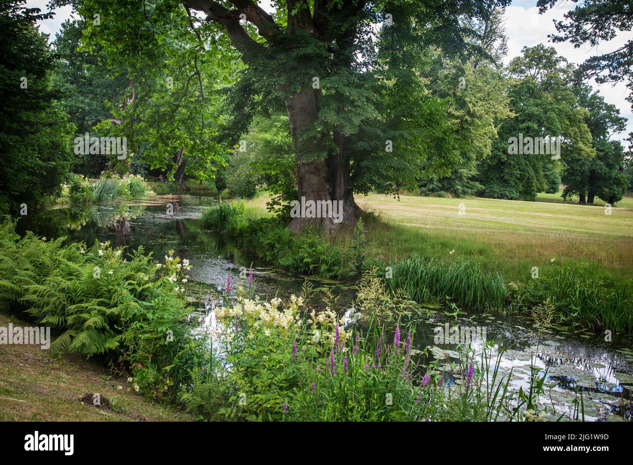 Fürst-Pückler-Park Bad Muskau, Saxony, Germany Stock Photo