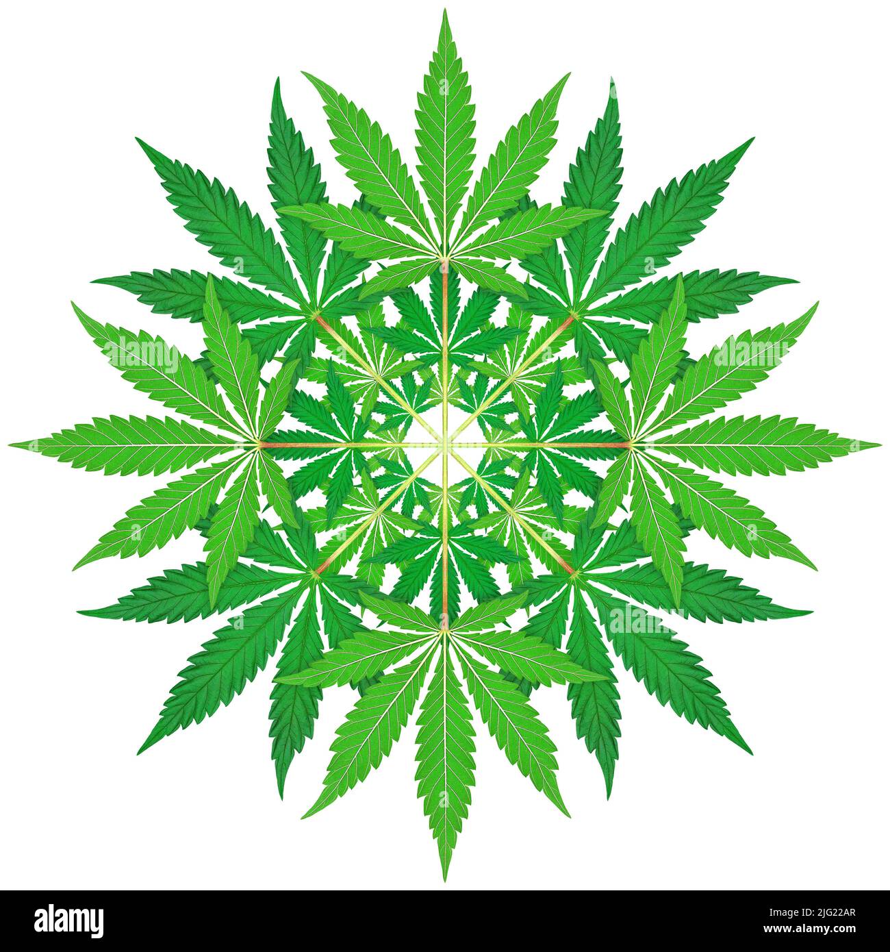 Cannabis leaf mandala Stock Photo