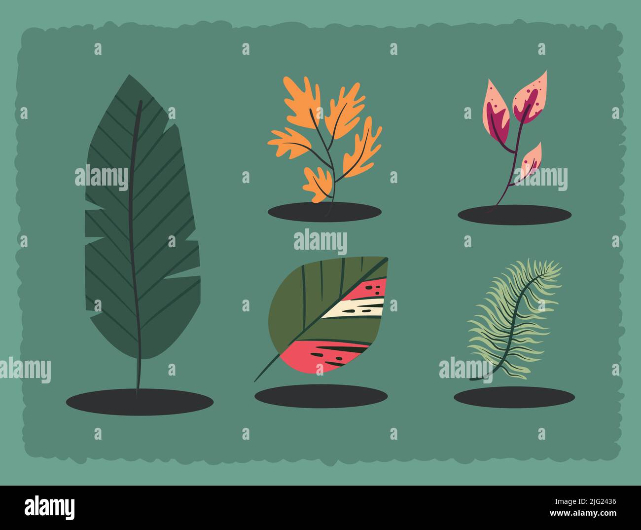 Five leaves Stock Vector Images - Alamy