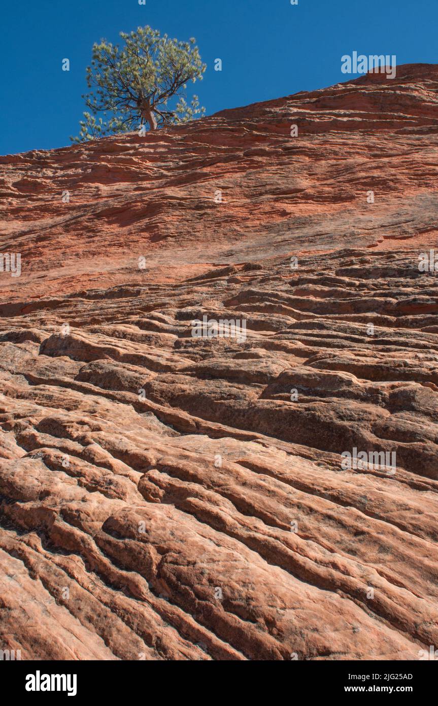 Sandstone rock formations in Red Rock Canyon, Colorado Springs, CO Stock Photo