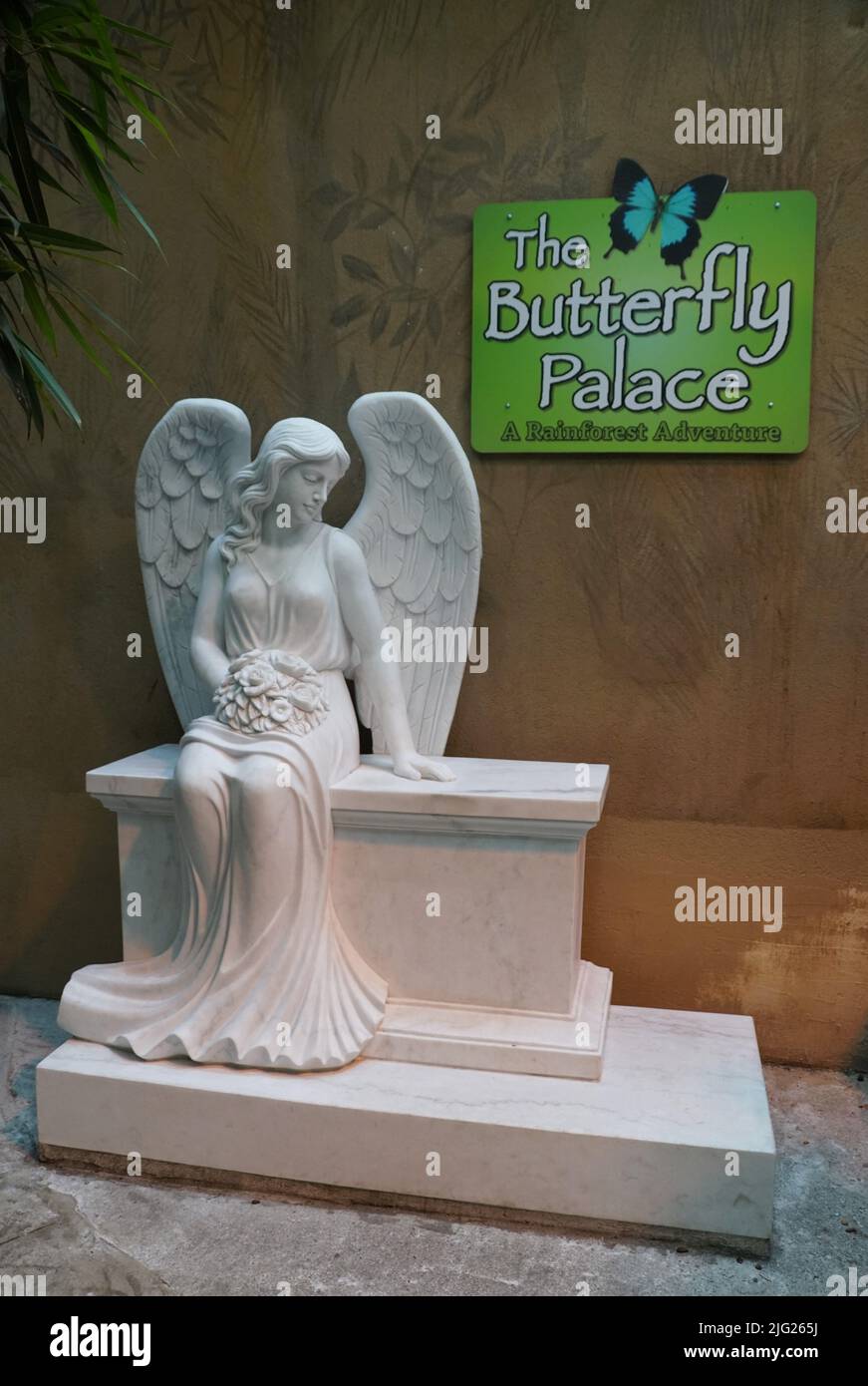 Branson, Missouri, U.S.A - June 21, 2022 - The white angel statue inside of The Butterfly Palace Stock Photo