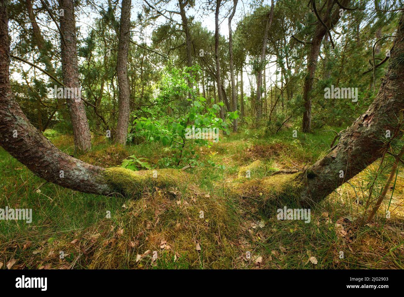 beautiful scenery pictures beautiful scenery pictures