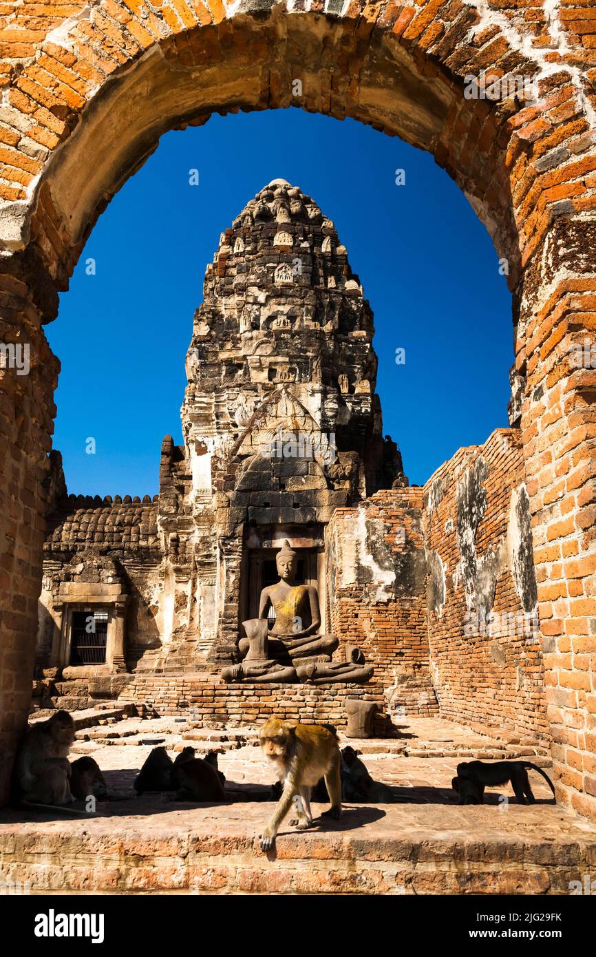 Monkey temple, Pra Prang Sam Yod(Yot), crab-eating macaque, eating, Lopburi(Lop Buri), Thailand, Southeast Asia, Asia Stock Photo