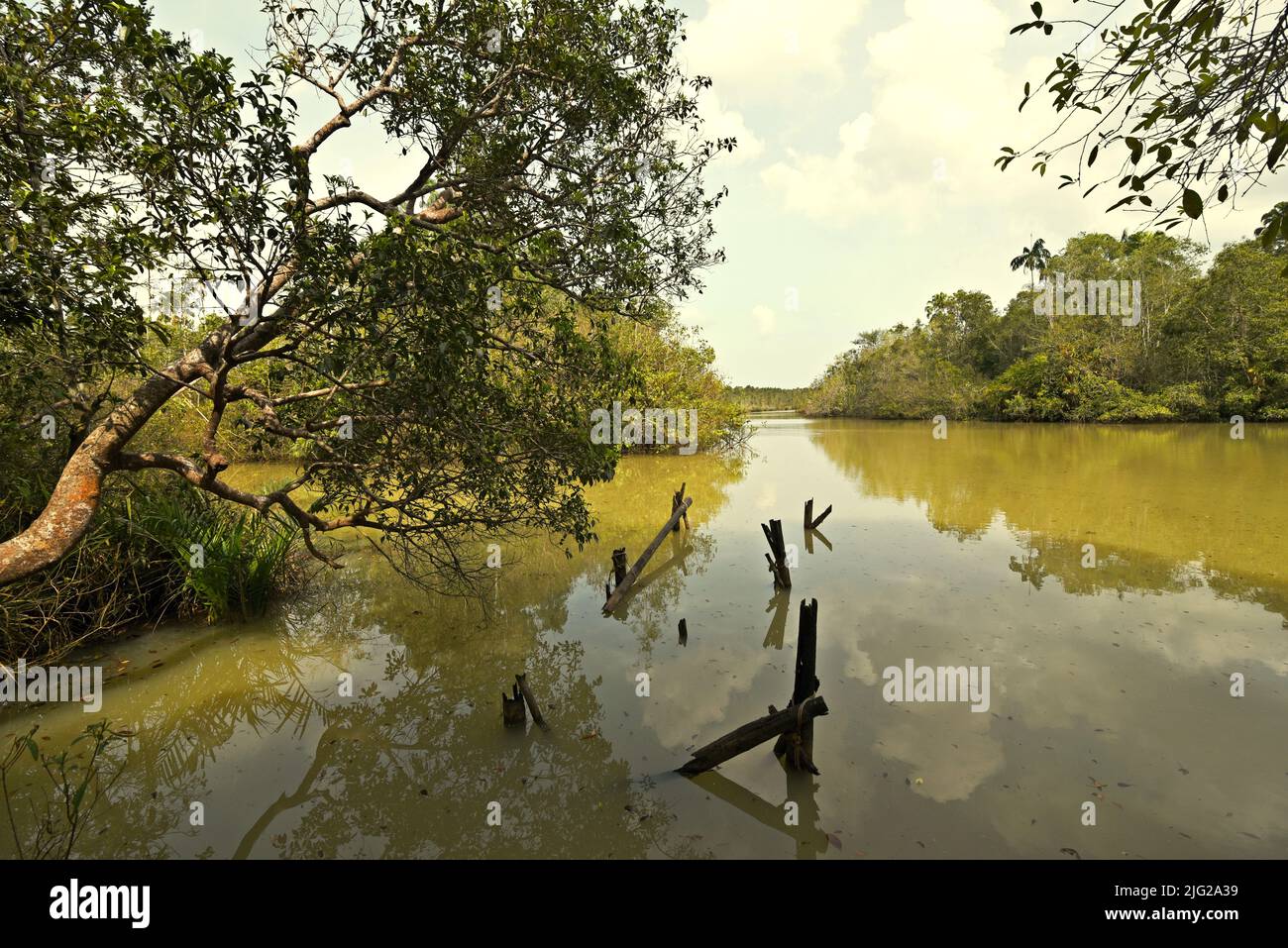 Way Kanan river in Way Kambas National Park, Lampung, Indonesia. Stock Photo