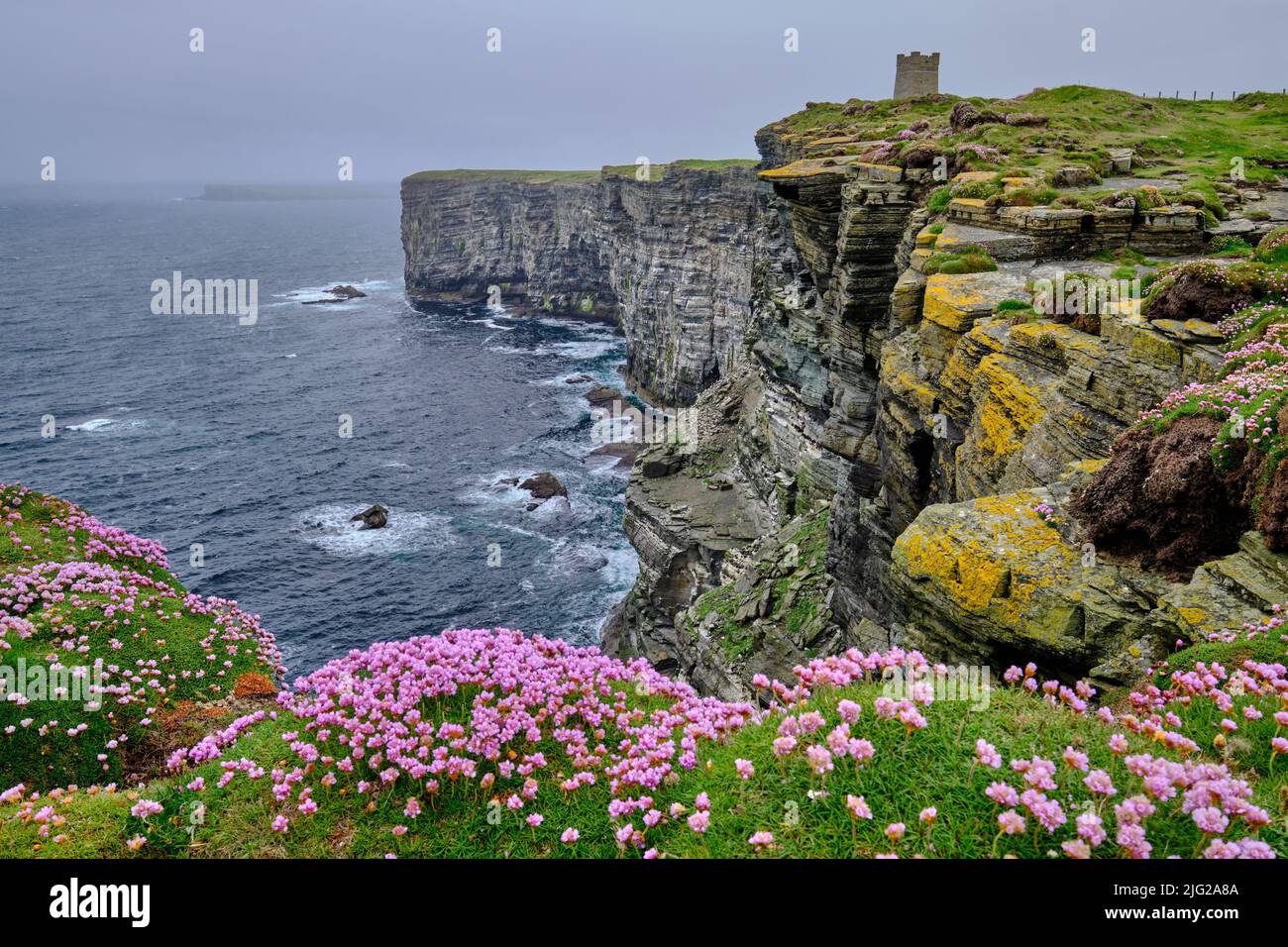 Marwick Head Cliffs Stock Photo