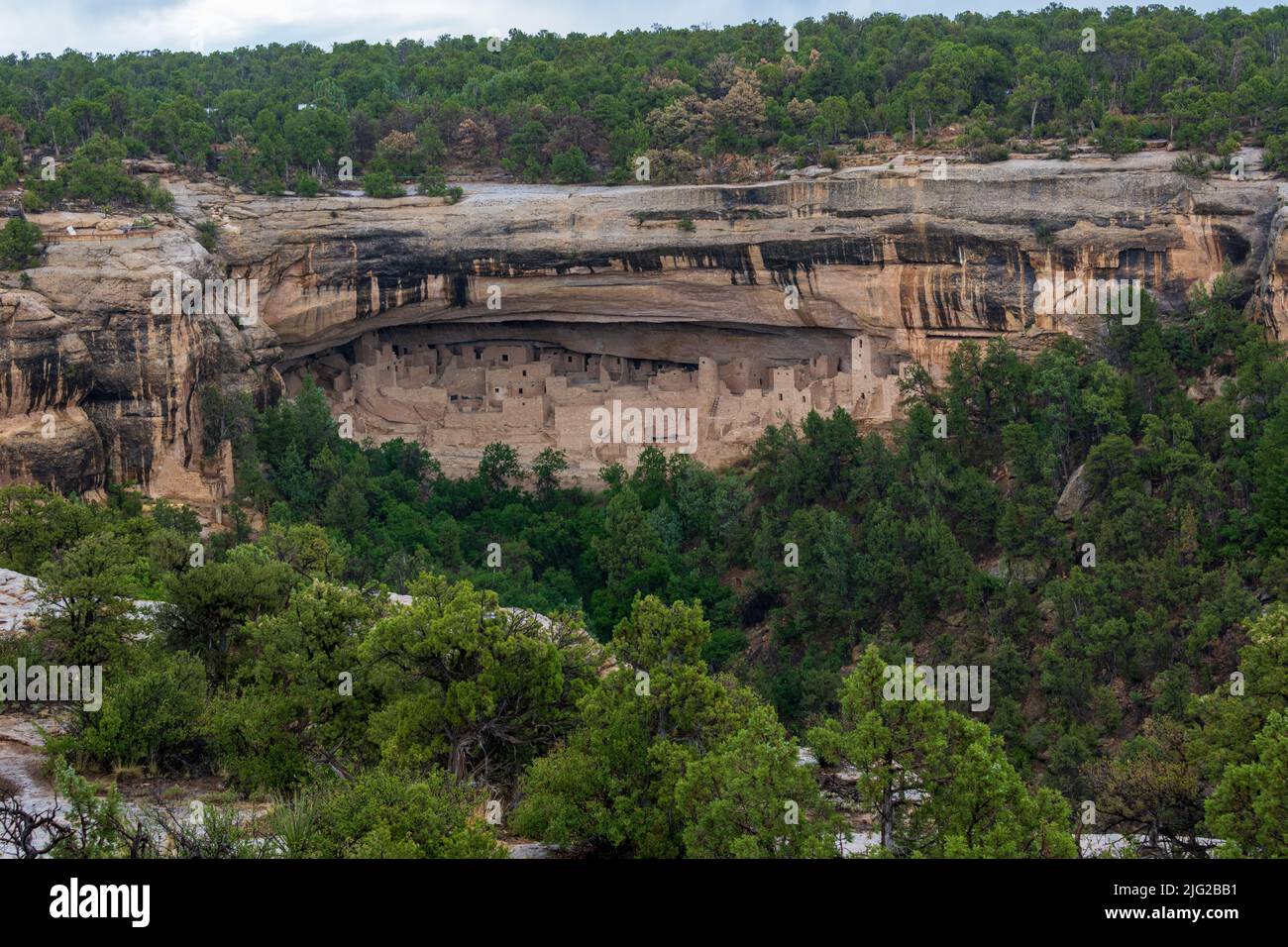 One of the largest cliff dwellings in Mesa Verde National Park Stock ...