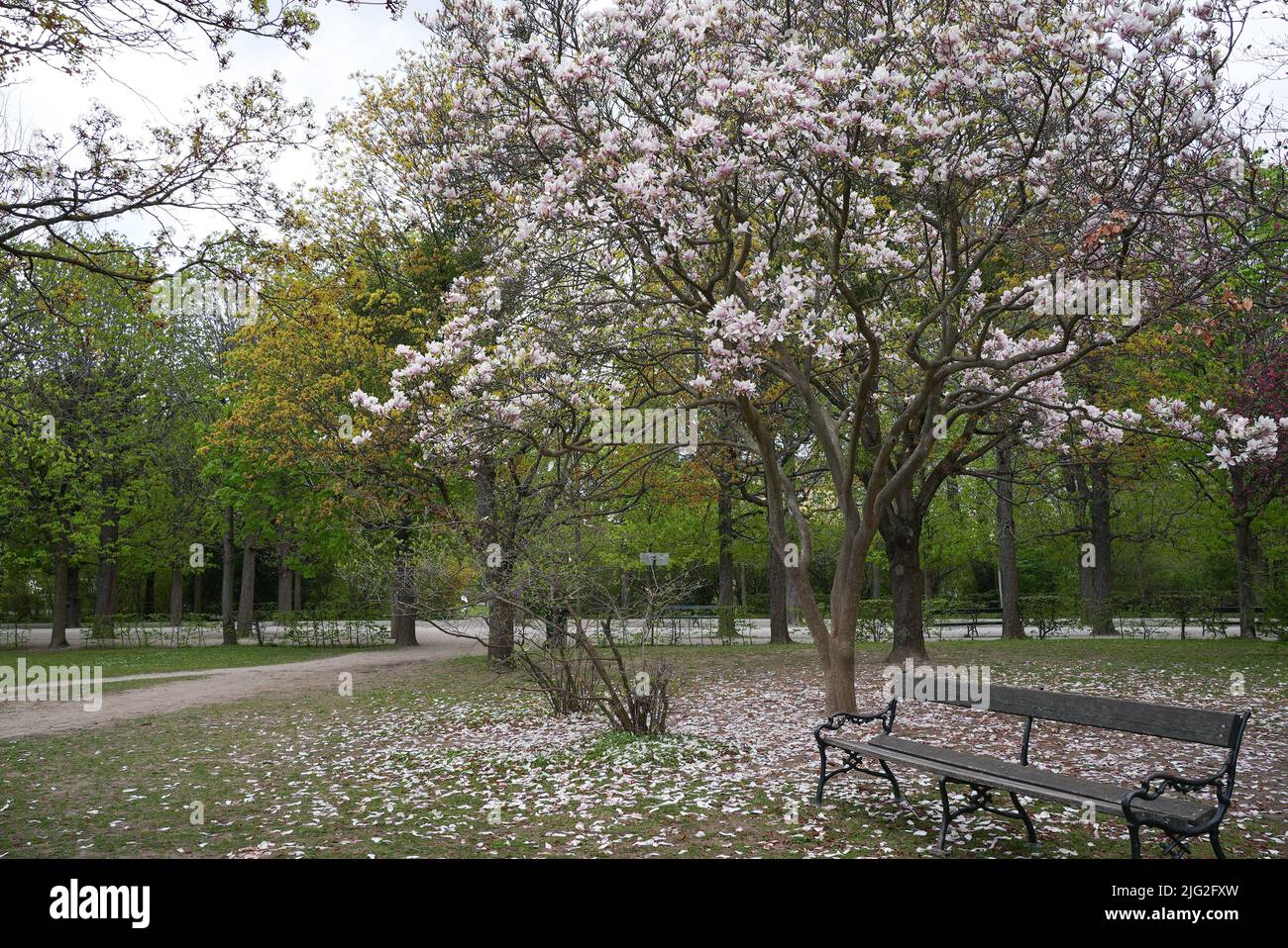 Park bench and blooming trees around Stock Photo