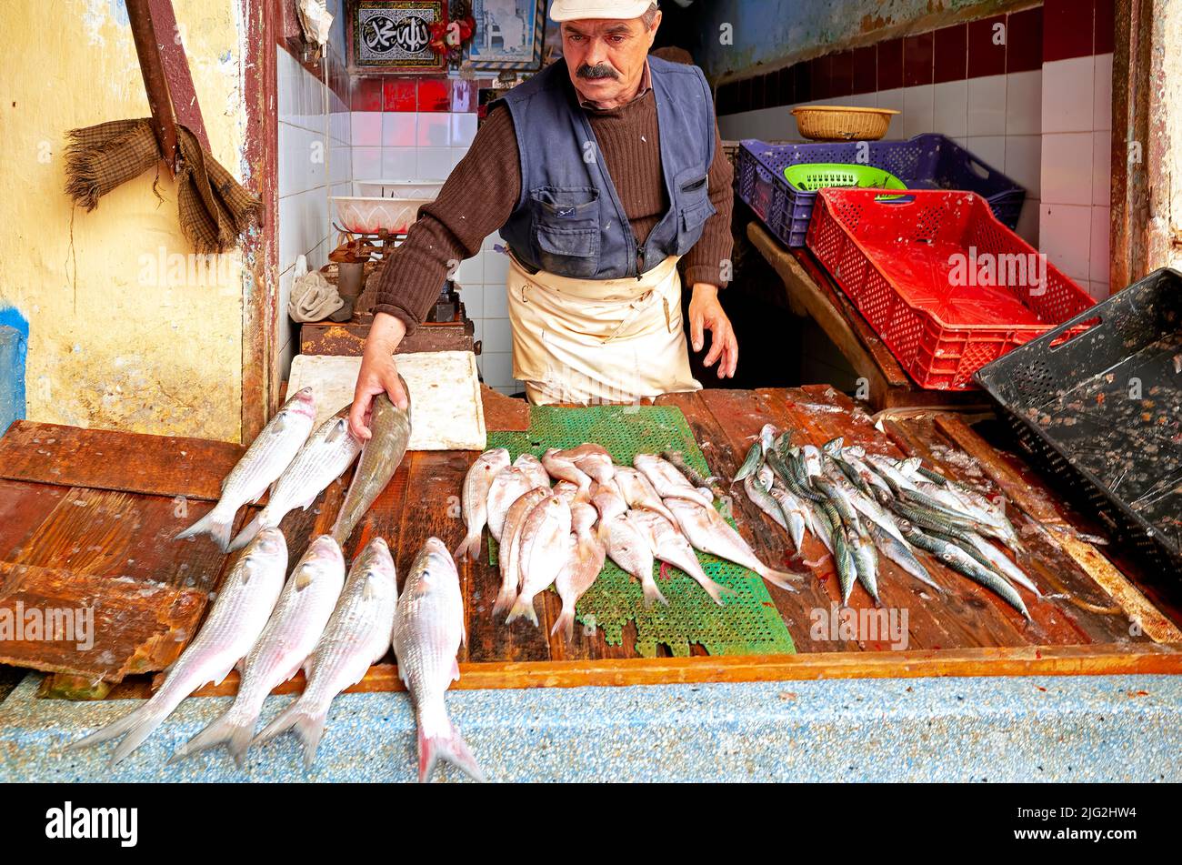 Morocco Meknes. The fishmonger Stock Photo