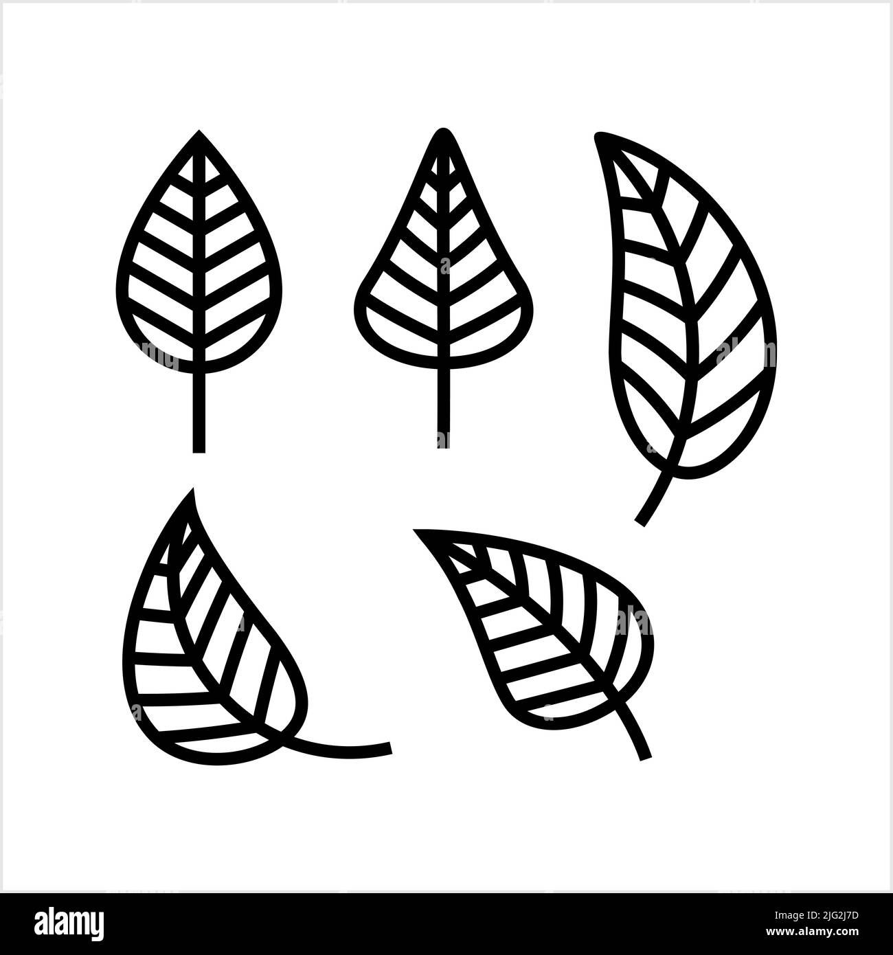 Leaf Icon, Appendage Growing From The Stem Of A Plant, Organ Of A