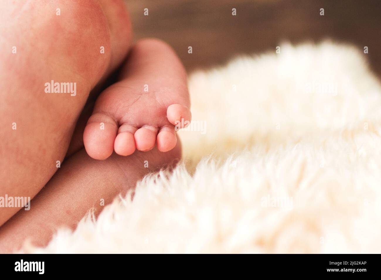 barefoot newborn baby feet. Stock Photo