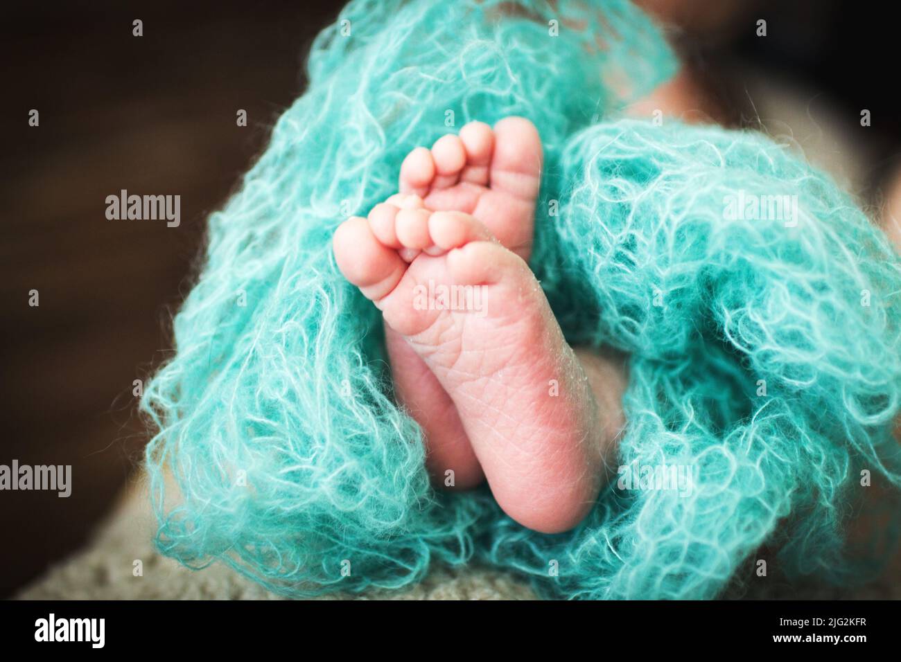 newborn baby feet. kids legs wrapped in a blue blanket Stock Photo