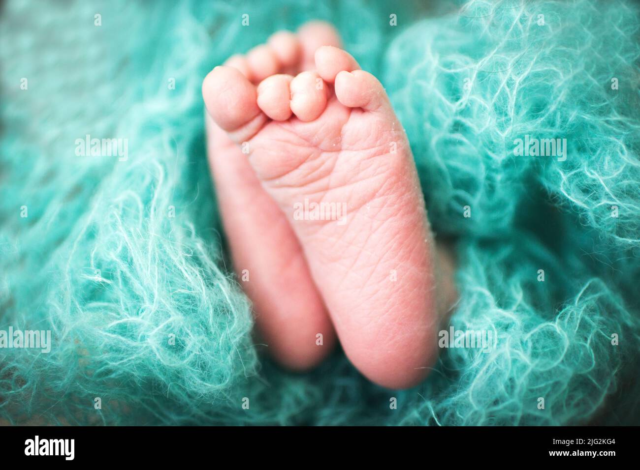 newborn baby feet. kids legs wrapped in a blue blanket Stock Photo