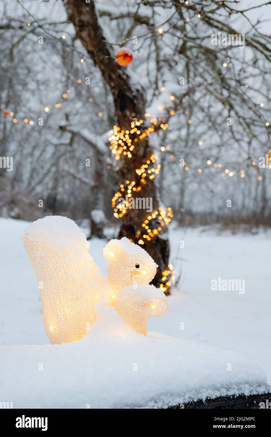 Acrylic artificial squirrel figurine illuminated as Christmas decoration outdoors in home garden, led party lights wrapped around apple tree. Stock Photo