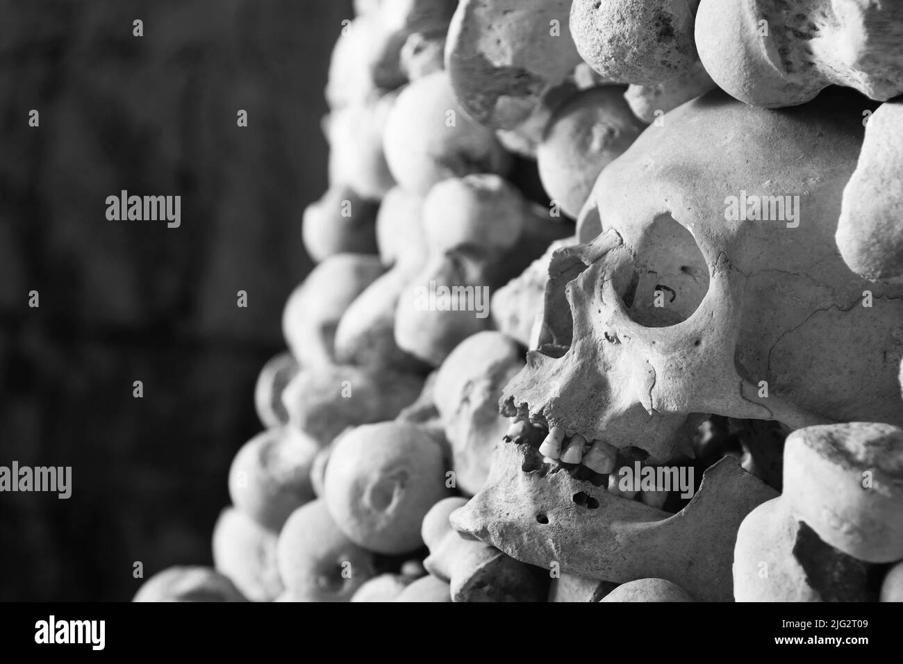 Skulls and bones Stock Photo