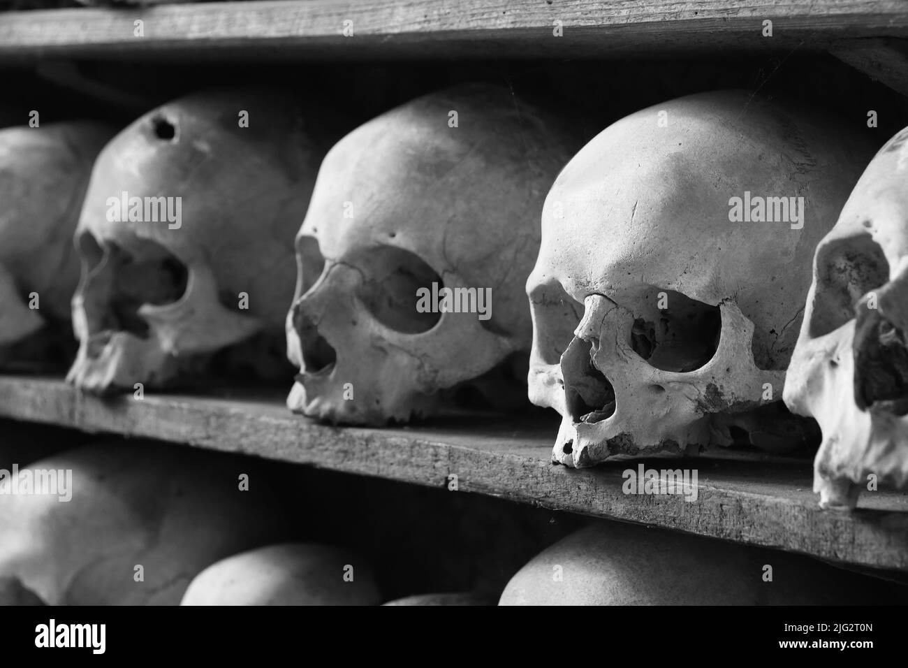 Skulls and bones Stock Photo