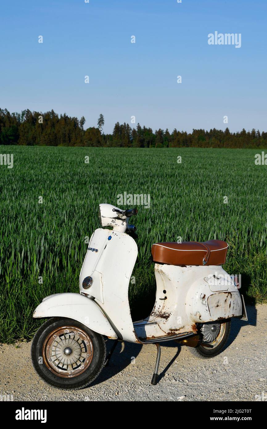 Vespa, Primavera 125, 1974 Piaggio, Motor Scooter, Scooter, Small Frame,  Withe, Original Paint, Vintage Look, Oldtimer, classic, PM, Freising,  Germany Stock Photo - Alamy