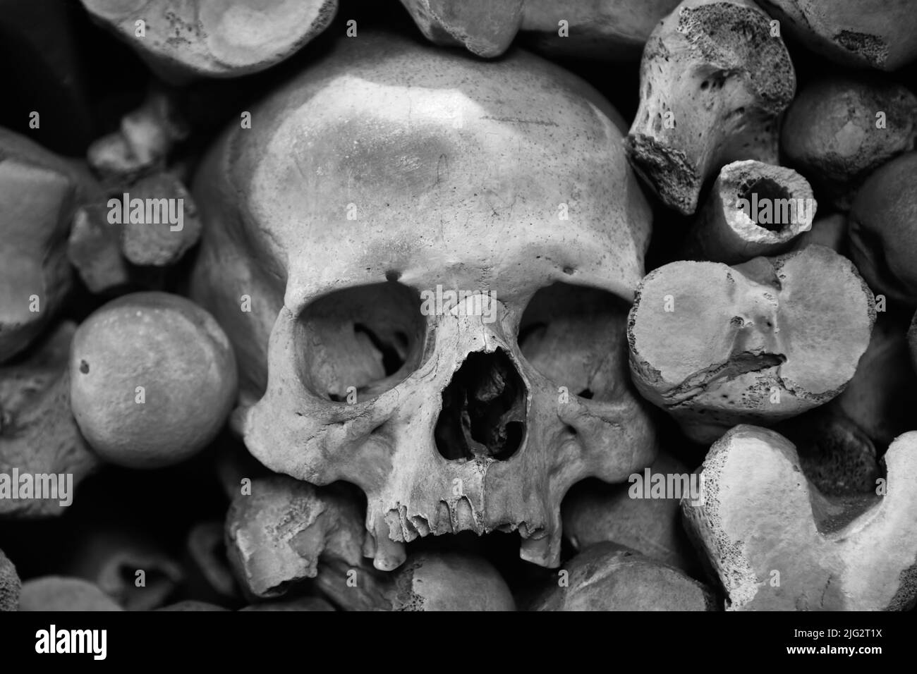 Skulls and bones Stock Photo