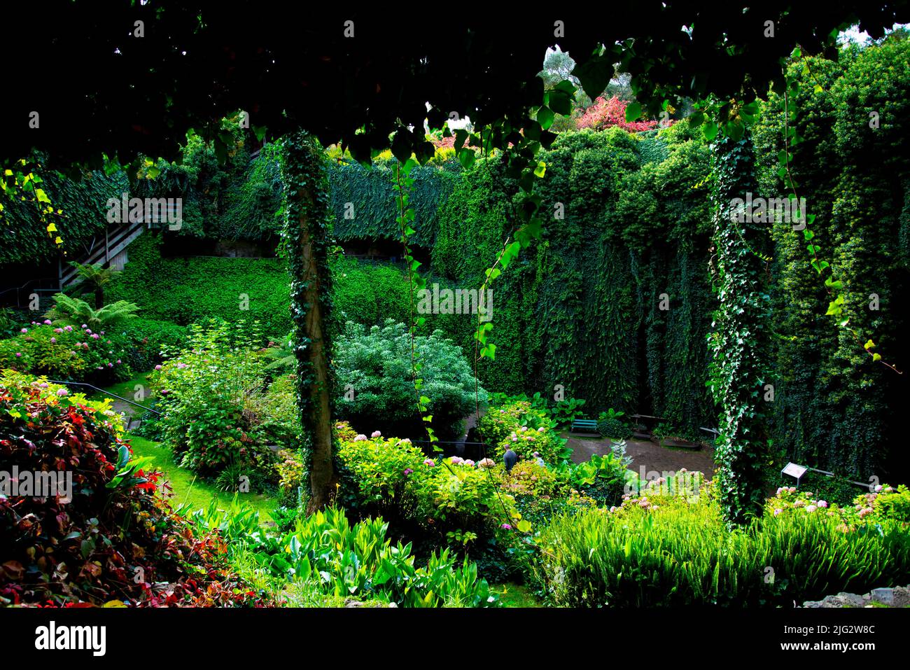 Umpherston Sinkhole Mount Gambier Australia Stock Photo Alamy