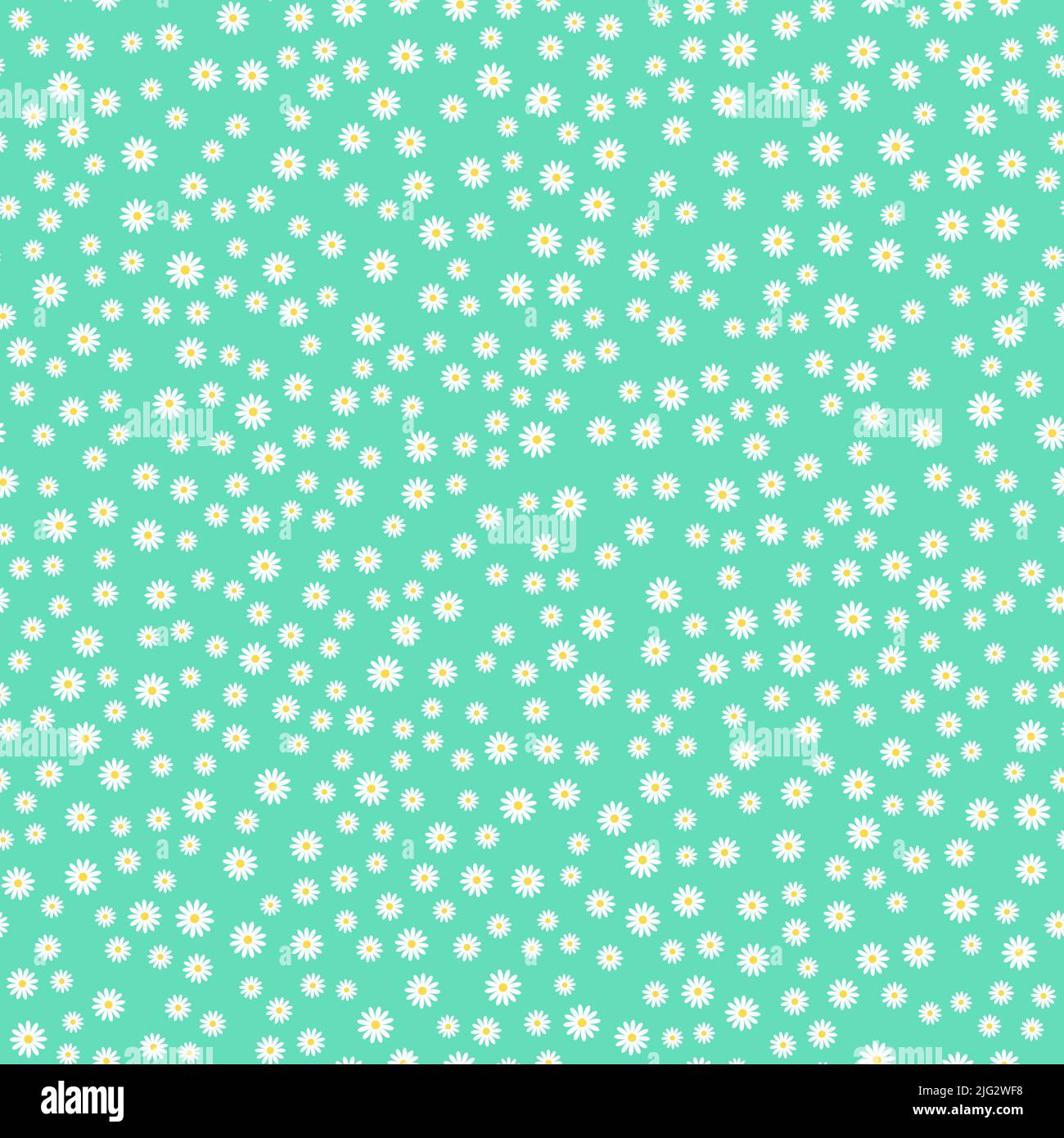 Daisy chamomile seamless pattern on blue background. Vector ...