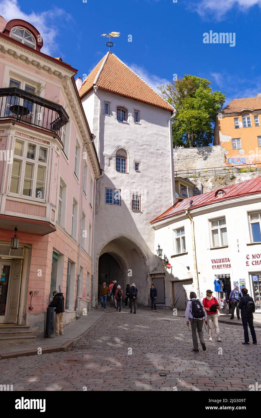Tallinn old town city wall; tourists at the Long Leg Gate Tower, part of the medieval city walls leading to Toompea Hill, Tallinn Estonia Europe Stock Photo