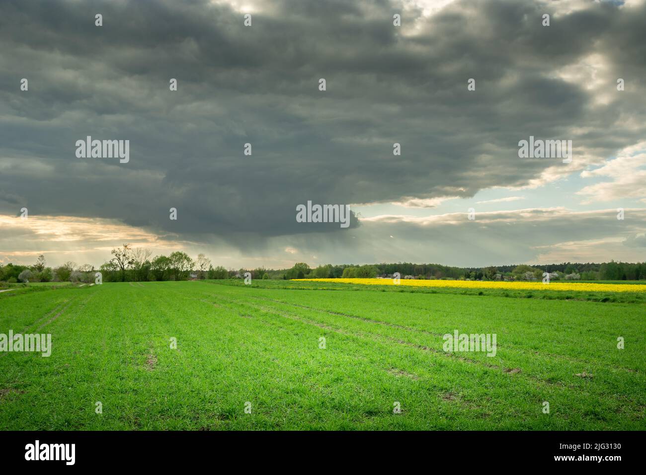Dark cloudy sky with rain over a green field Stock Photo Alamy