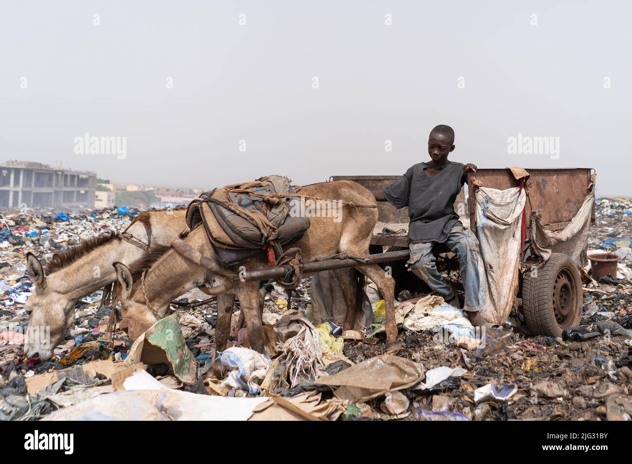 Impoverished street boy earning his living by driving a donkey cart on an urban garbage dumping site Stock Photo