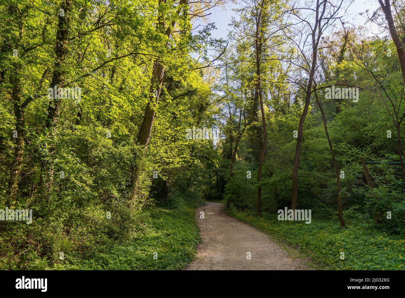 Hermitage of the White Friars or Caves, Pathway, Cupramontana, Marche, Italy, Europe Stock Photo