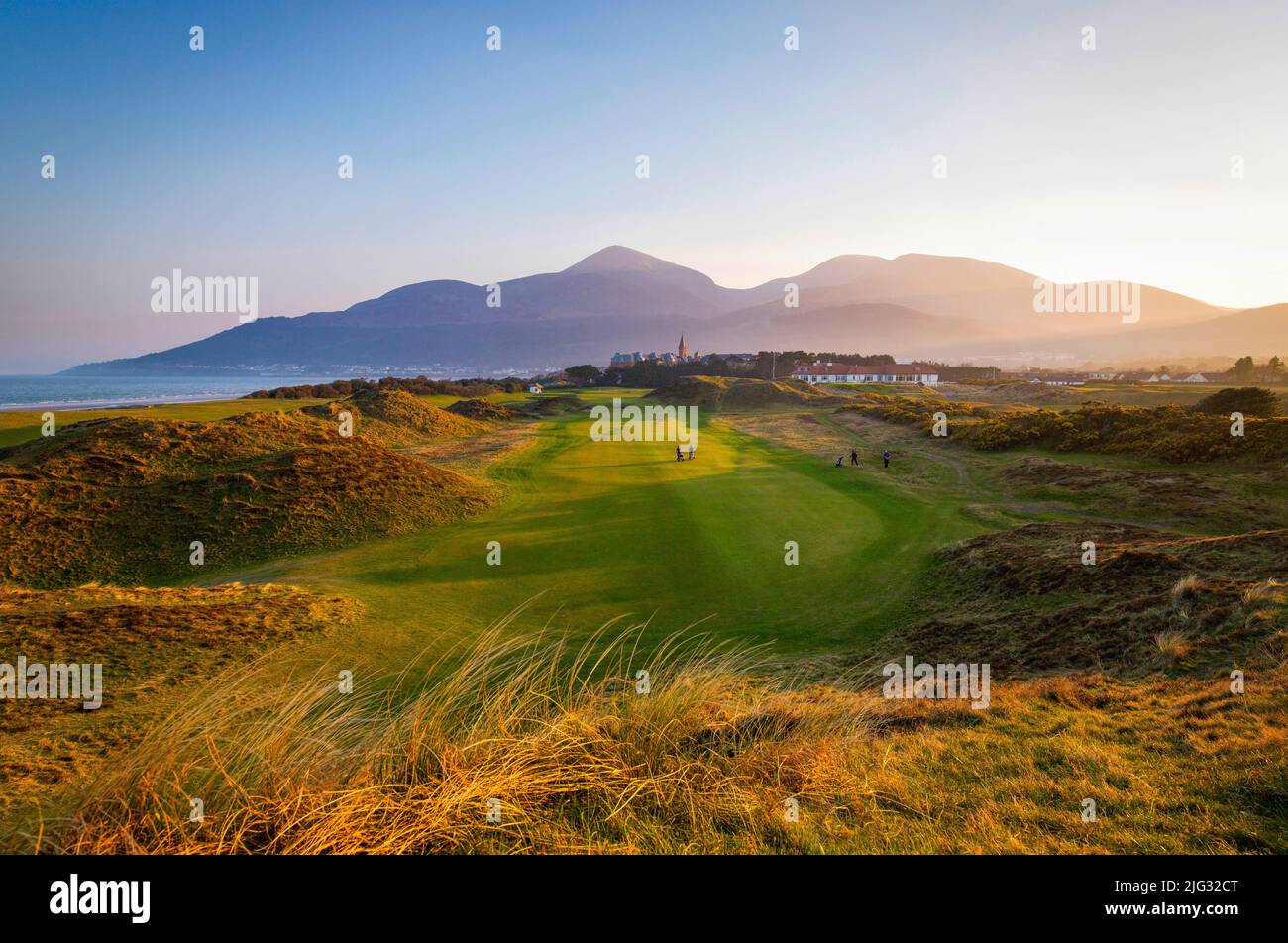 The setting sun lights up the Royal County Down Links under the imposing Slieve Donard and the Mountains of Mourne, County Down, Northern Ireland Stock Photo