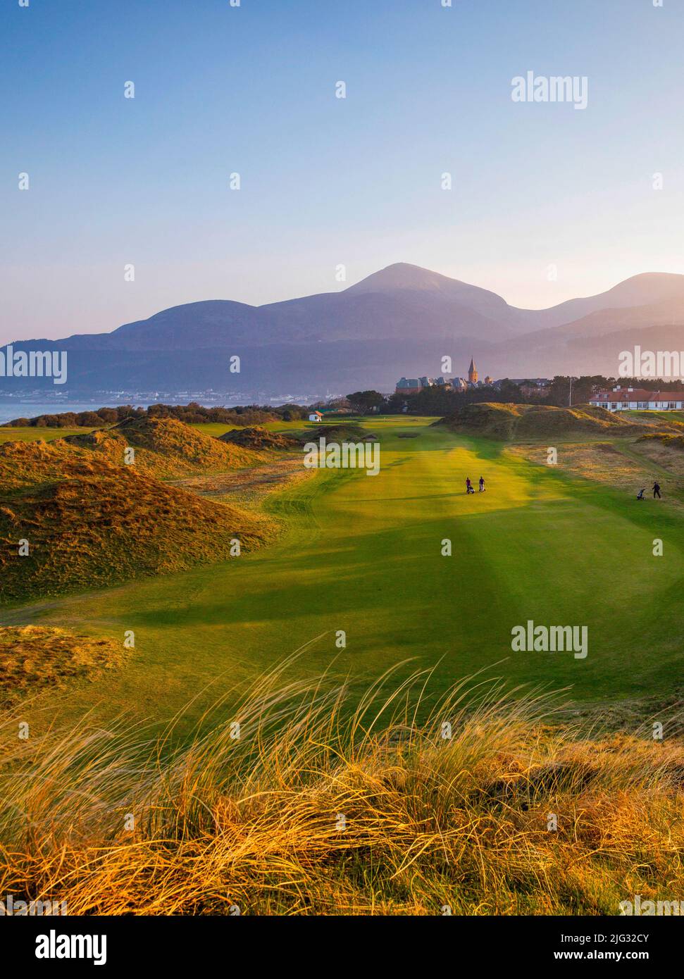 The setting sun lights up the Royal County Down Links under the imposing Slieve Donard and the Mountains of Mourne, County Down, Northern Ireland Stock Photo