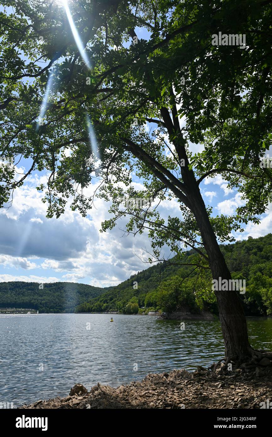 View of the Edersee with a tree, blue sky and clouds, Hesse, Germany Stock Photo