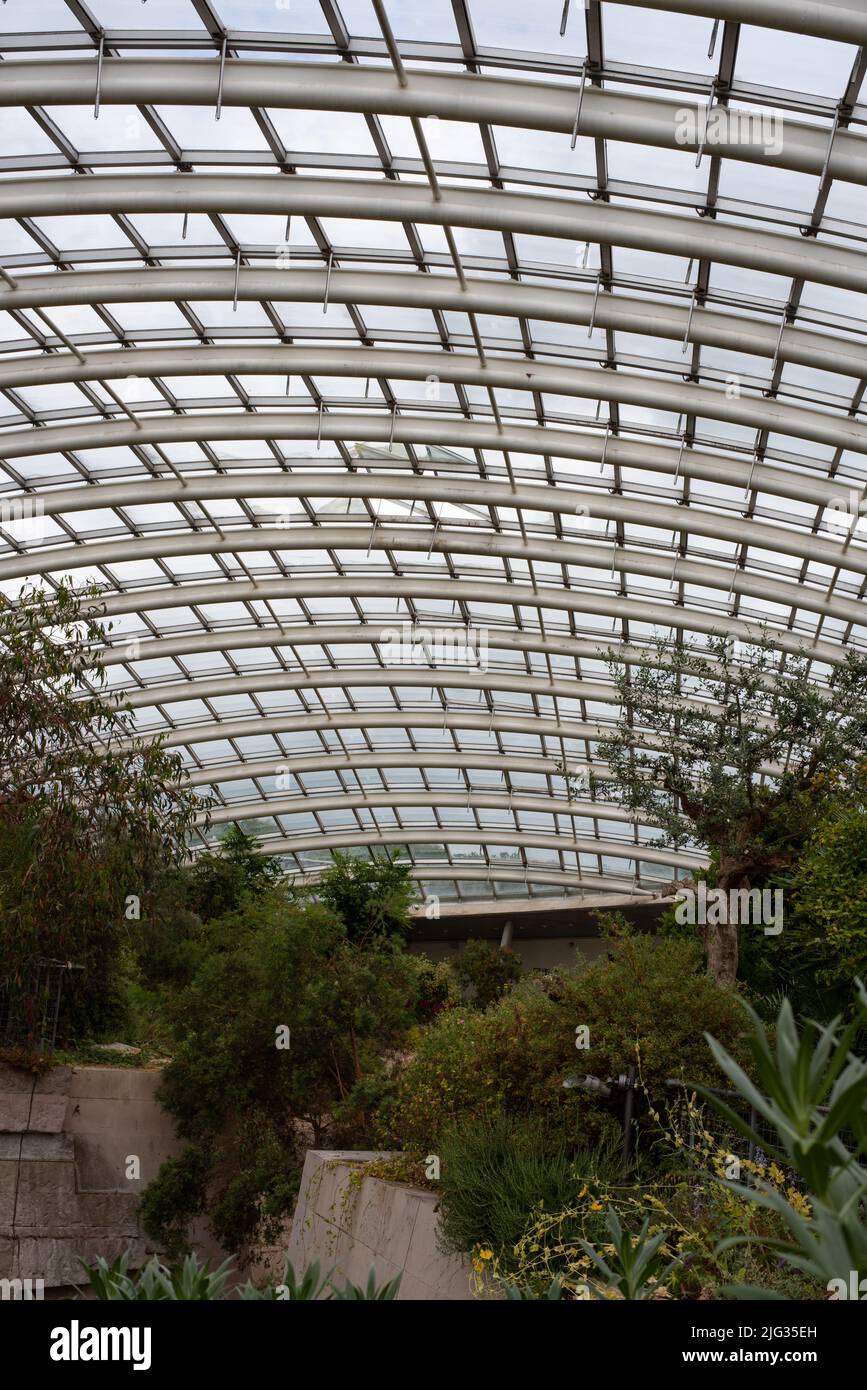 Photo taken at the National Botanic Garden Wales in July 2022 showing the interior of the largest single span glasshouse in the world. Stock Photo