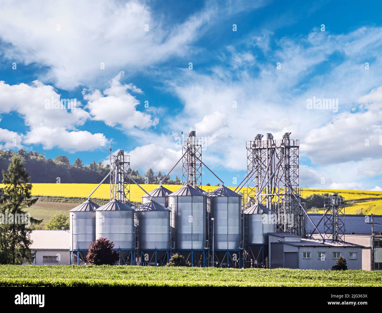 Grain silo plant agains the field of ripening rapsflowers Stock Photo