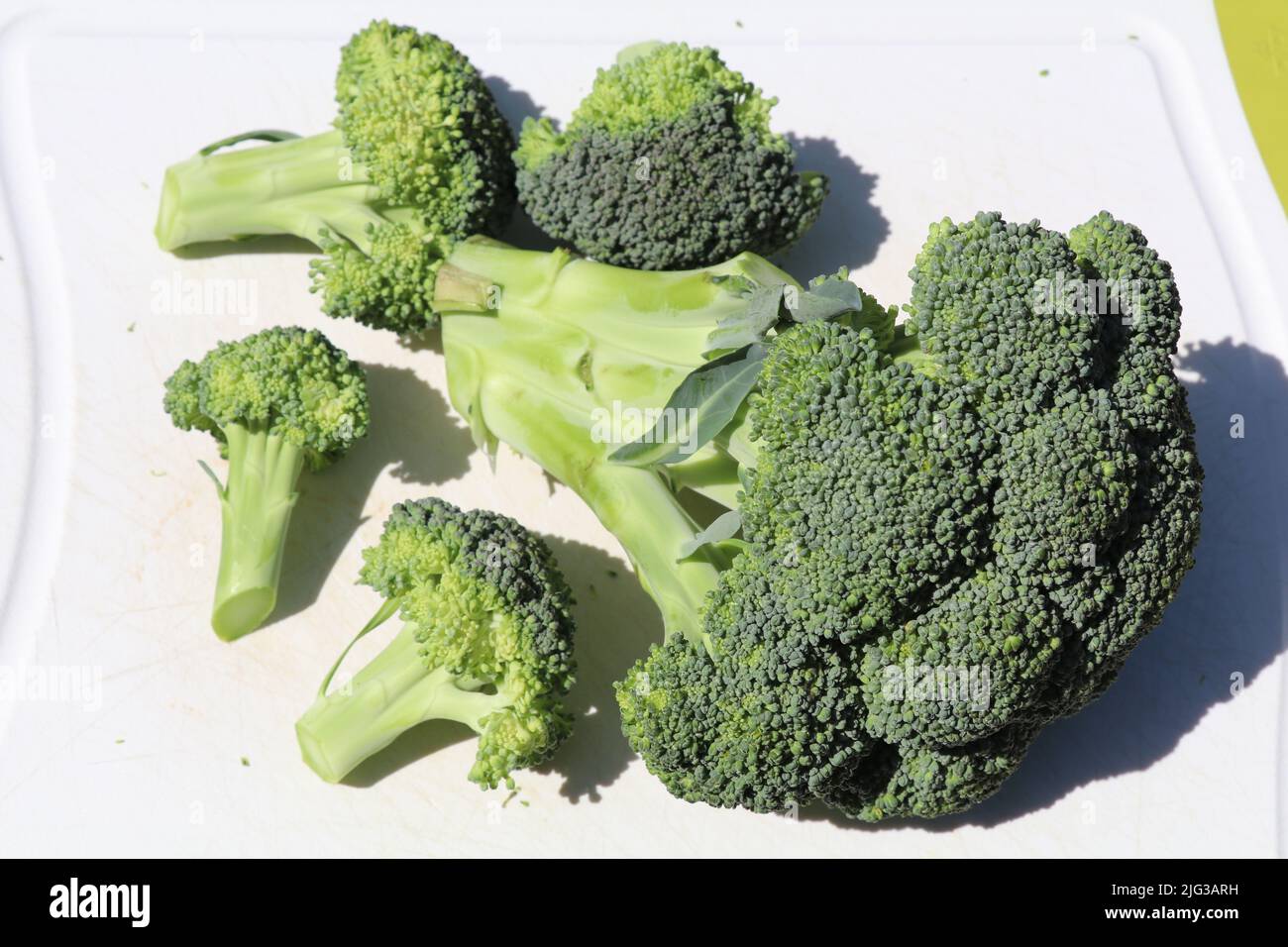 broccoli florets cut off a broccoli ready to prepare Stock Photo Alamy