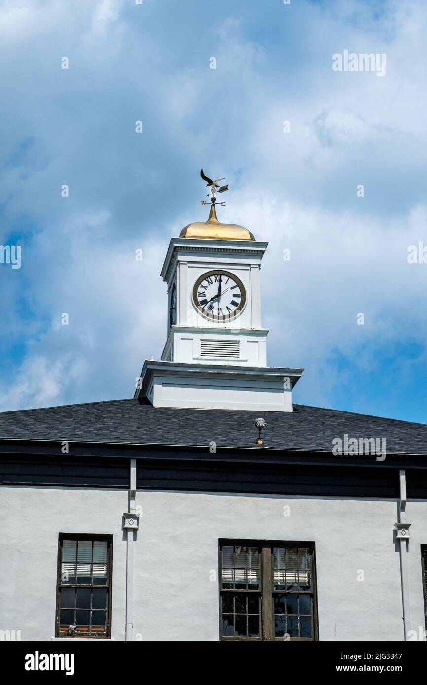 Marion County Courthouse, Courthouse Square, Buena Vista, Stock Photo Alamy